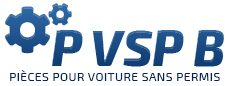logo pvspb