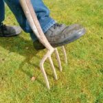 Giardiniere esperto con attrezzi mentre cura un prato verde e rigoglioso.