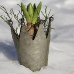 Giardiniere invernale con piante sane, senza segni di muffa o umidità.